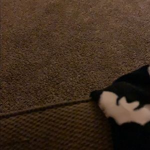 Meet your Posher, Micaela